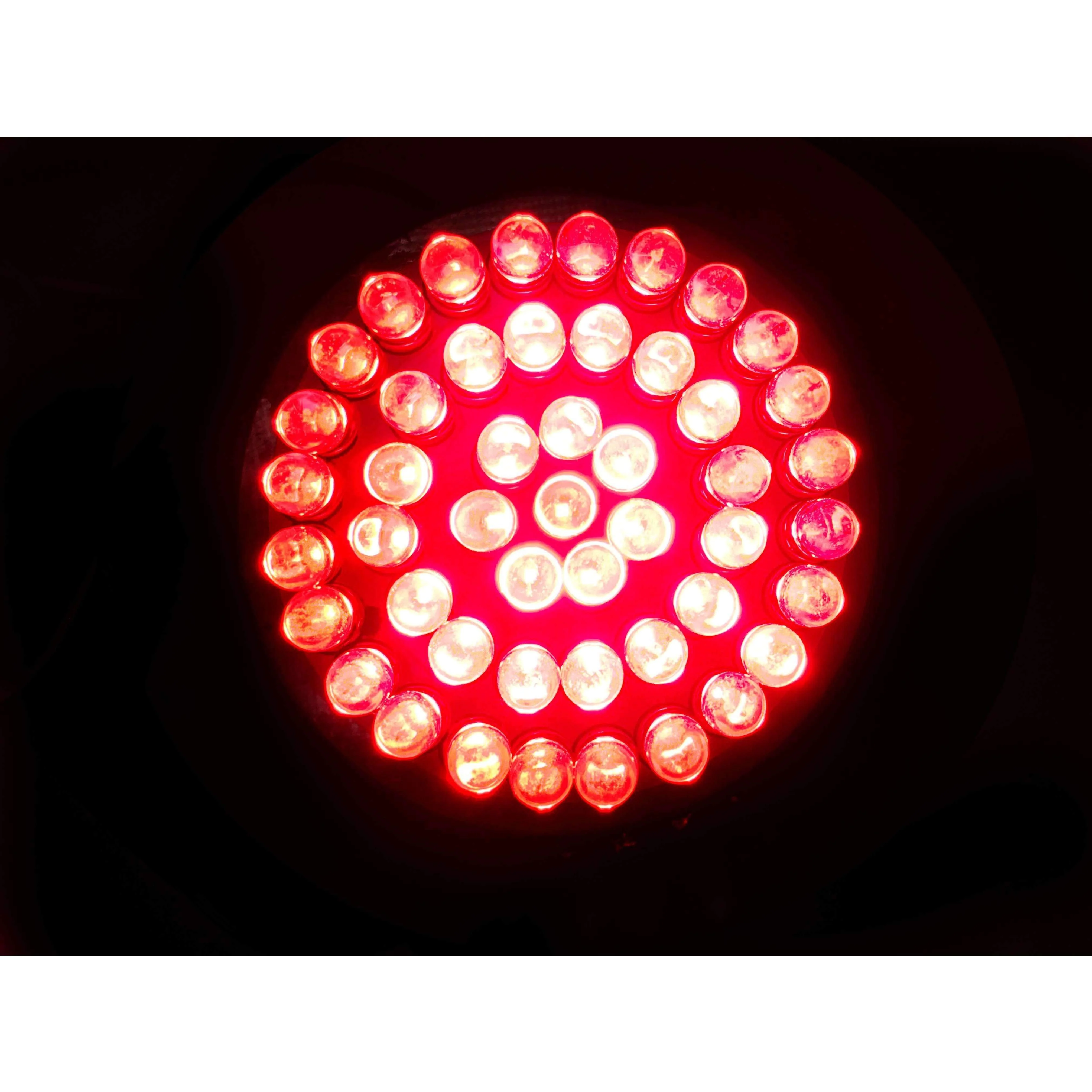 Eagle Lights 2” LED Turn Signal, Running and Brake Light Kit for Harley-Davidson® Motorcycles- Generation I / 1157 Front / 1157 Rear - Image 14