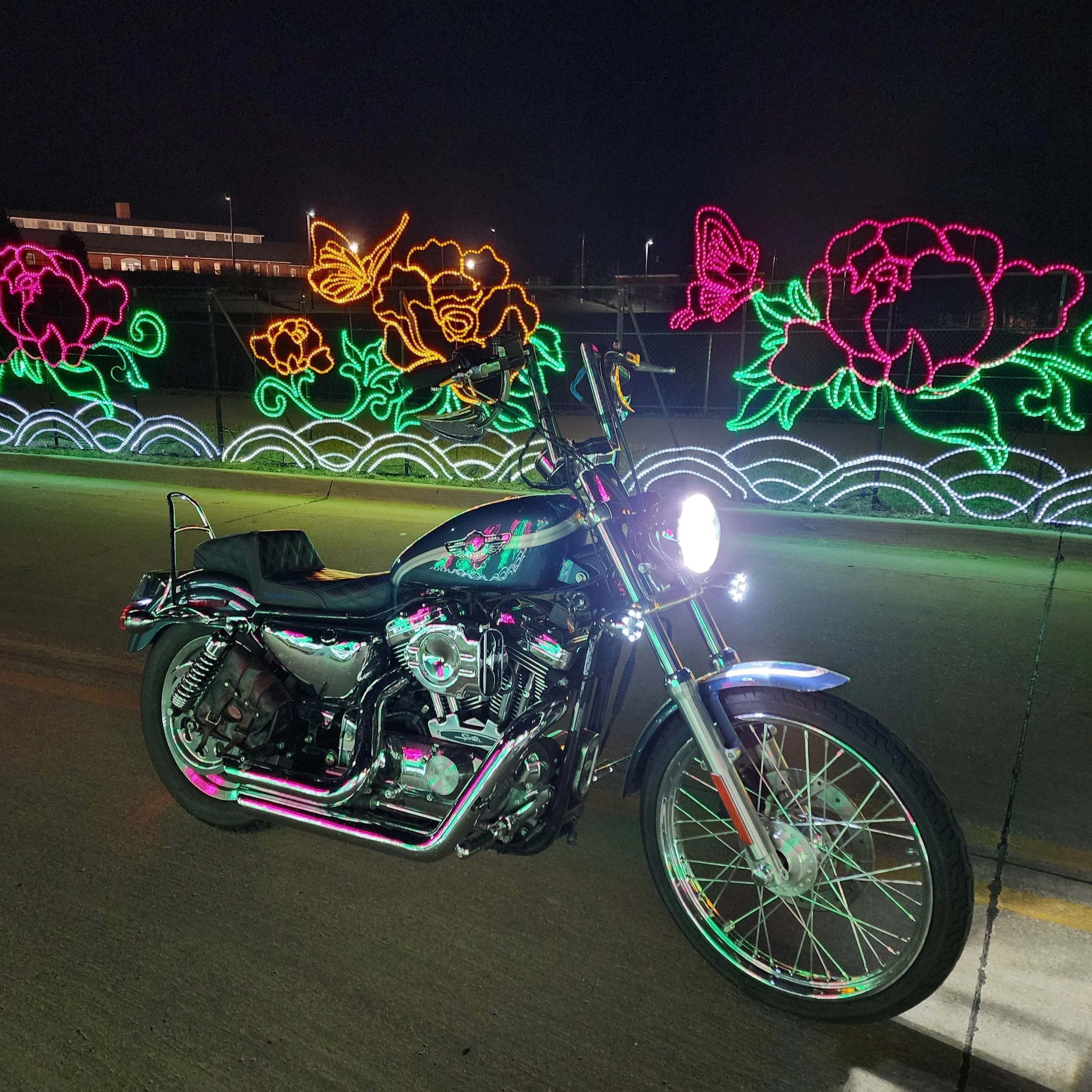 Eagle Lights 2” Infinity Beam Front and Rear (1156) LED Turn Signal Kit w/ Running LED Light Ring Covers for Harley-Davidson® Motorcycles - Image 3