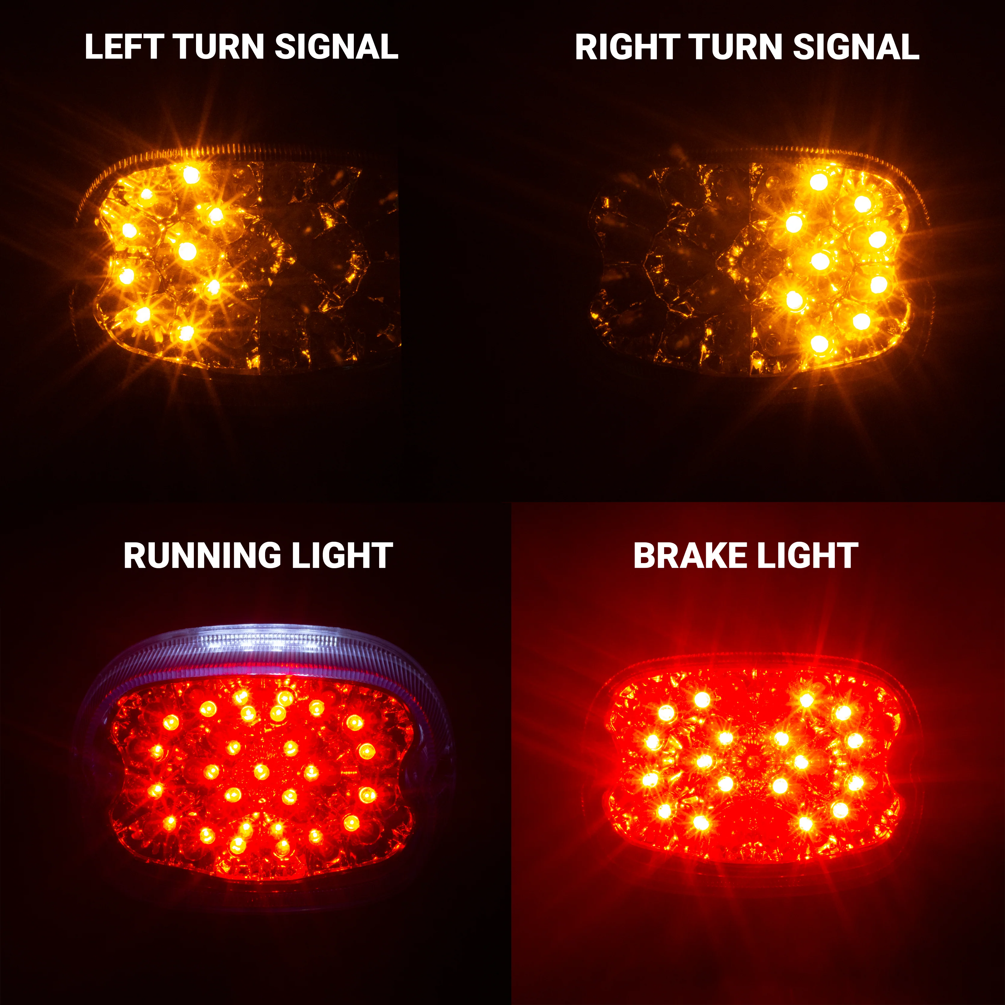 Eagle Lights Squareback LED Replacement Harley-Davidson® Softtail / Touring / Sportster / Dyna Tail Light with Built In LED Turn Signals - Image 6